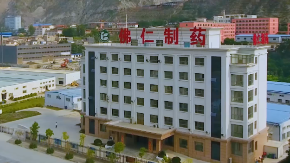 甘肃省副省长葛建团莅临太阳成集团tyc138（002219）旗下佛仁制药考察调研